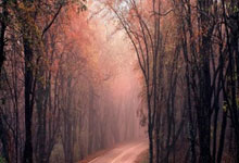 德(dé)斯蒙德(dé)·贝恩加盟魔术：东部崛起的(de)无限(xiàn)可能