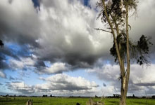 NBA 2025-26赛季赛程(chéng)公布：全(quán)国直播場(chǎng)次(cì)大增，背靠(kào)背比赛锐減(jiǎn)！