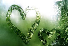 2025中小直播企业免费直播录屏白皮书