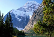 2025中小直播企业免费直播录屏白皮书