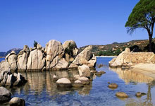 切尔西(xī)伤兵满营,马雷斯卡(kǎ)如何扭转颓勢(shì)?