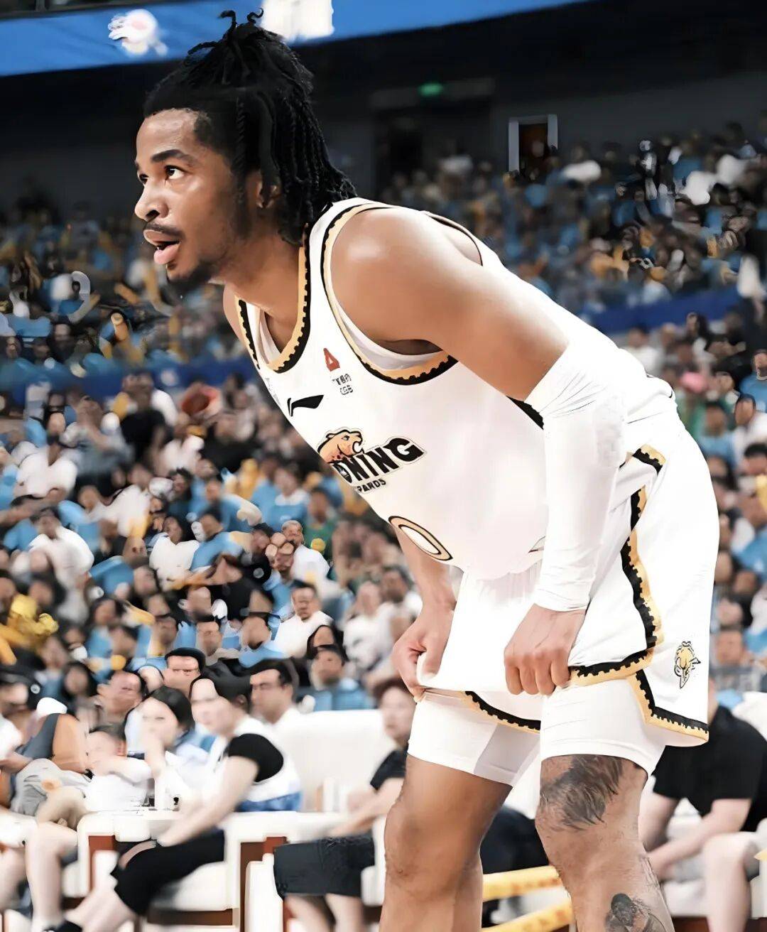 雪上加霜!杨鸣两位“手下”遭禁赛,辽篮夺冠功勋重返NBA