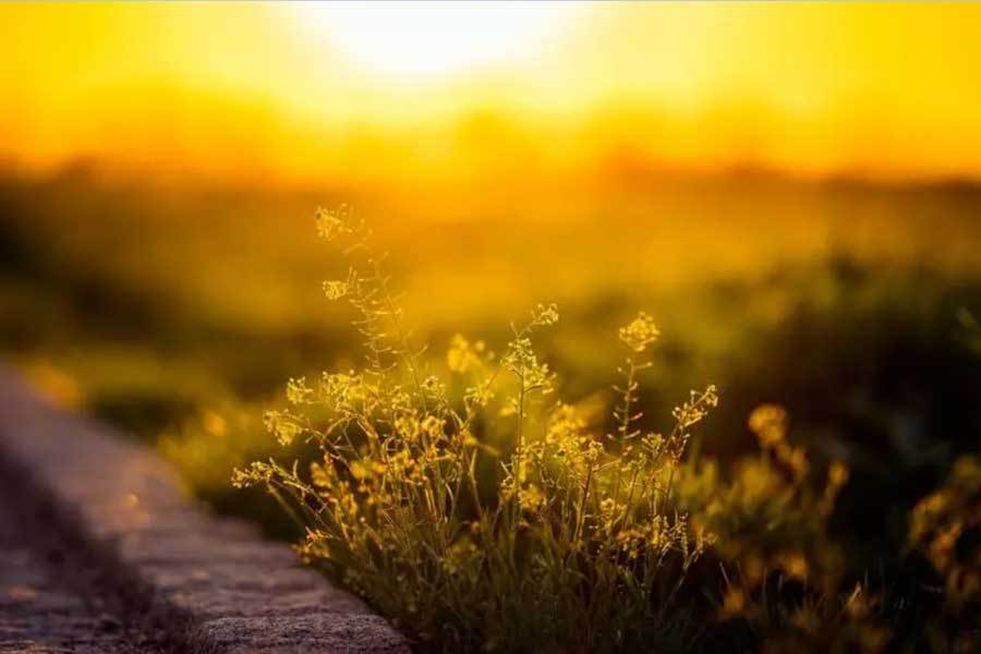 校园篮球三分大赛举行，选手精准投篮