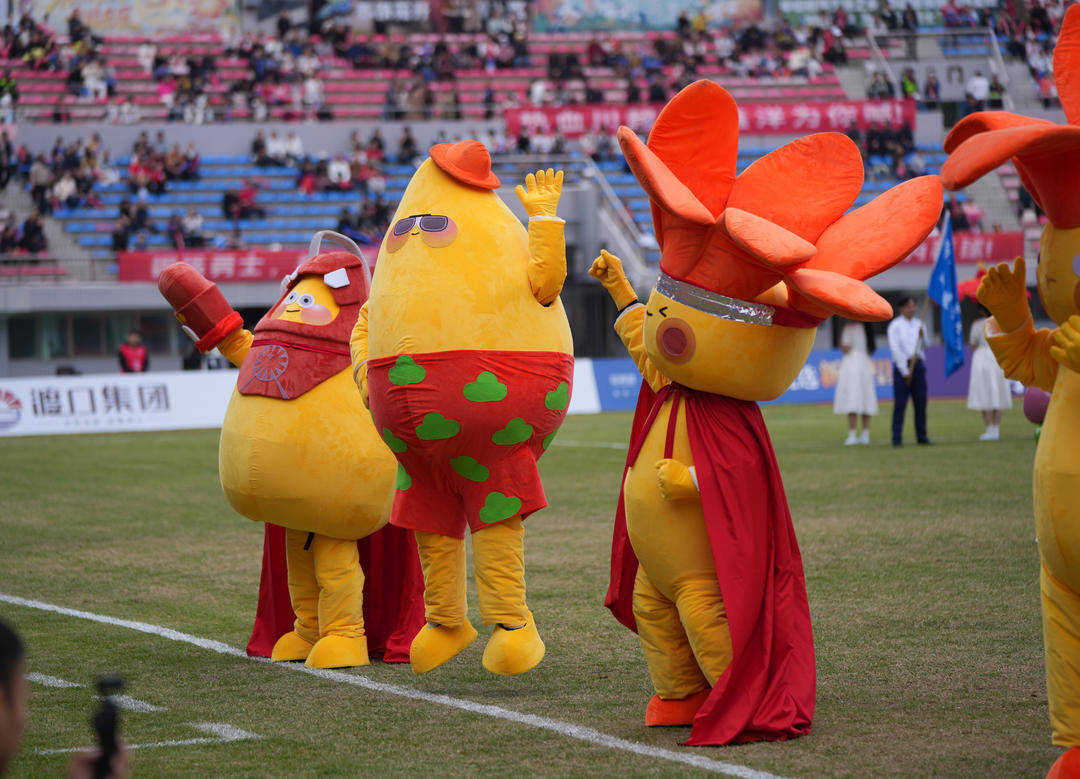 保持主场不败!“川超”攀枝花1:0眉山完成收官战